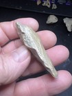 St Group 100  Authentic Archaic Indian Flint Knife Tool From Wolf Fam Coll