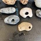 Eight Naturally Formed Hag Stones
