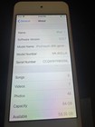 Apple Ipod Touch 6th Generation 64 Gb Gray 32gb  Great Condition 