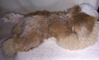 Fao Schwarz Adopt-a-pets Shorkie Puppy Dog Plush 17 5 l Nwt