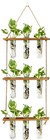 Wall Hanging Propagation Station With Wooden Stand Glass  Tubes Tiered Plante   