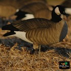 Avery Outdoors Ghg Pro Grade Lesser Canadas - Harvester Pack Dozen