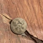 Dug Civil War Relic Federal Union Eagle Button Found In Va With Case