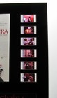 Elvira Mistress Of The Dark 35mm Movie Original Film Cell Display 8x10 Horror Le