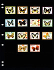  46 00 Scott Value - 2006 Micronesia Butterflies Definitives Cv Mnh Nh Umm