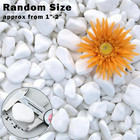11lbs Natural River Rocks For Plants 1  -2   Large Landscaping Garden Stones Whi