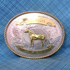 Nmqha Trophy Belt Buckle 1988 Amateur Jr Stallion Quarter Horse Ssp Mss   gmp162