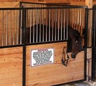 Ohio Equine Sign Activity Liability Warning Statute Horse Farm Barn Stable