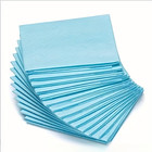 100pcs Disposable Pee Pads Ultra Absorbent 23 6   X 23 6   Puppy Training Pads
