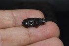 Sassanian Greek Roman Animals Amulet Mix  Stone Old Beads
