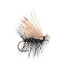 Trout Flies Assortment - 12 Flies For Trout Fly Fishing  - Essential Selection
