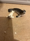 Schleich Seal   Baby Pup Figure Pair Marine Animal Set