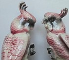 Pair Of Large 1940s Cockatoos  Pink   Gray Perched On Corn Stalks Excellent Cond