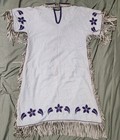 Vintage Cloth Leather Beaded  Native American Indian Blackfoot  Dress 