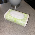 Refillable Baby Wipes Dispenser Case Pop Up Lid Green Leaf Print - Empty