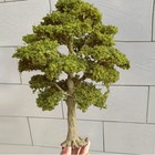 15cm Autumn Trees Ho oo Scale Miniatures Garden Landscape Scenery Model Display