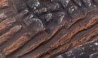 Ceramic Woodlike 8 Pcs Logs For Gas Ethanol Fireplaces   Stoves   Gas Firepit