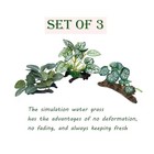 M2cbridge Artificial Fish Tank Plants Silk Aquarium Plant 3pcs Green Grasses