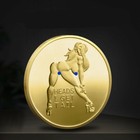 Sexy Girls - Heads Tails Challenge Token Coin Heads I Get Tail Adult Lucky Coin