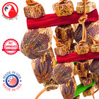 Bonka Bird Toys 2755 Mahogany Chomp Chew Festival Medium Parrot Cage Toy Conure