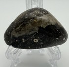 Hand Polished Petoskey Stone 2 25    3 5 Oz Michigan Hexagonaria Fossil Soup