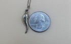 Vintage 925 Sterling Silver Italian Horn Pendant Necklace