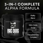 2 Bottles Big Dog Total Male Nitric Oxide Booster Blood Flow Energy Stamina
