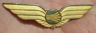 Vintage Continental Airlines Flight Attendant Wings Pin Badge