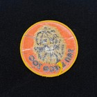 Vintage San Diego Zoo Lion Head Embroidered Souvenir Patch Orange Yellow 3 Inch