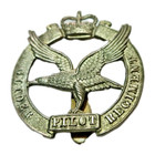 Wwii Glider Pilot Regiment Cap Badge brevet wings British Original 