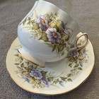 Wild Flowers Rosina Fine Bone China Made In England Tea Cup And Saucer Set    