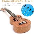 10 Sets Of Nylon Ukulele Strings String Winder For Soprano Concert Tenor Ukulele