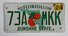 Original Florida Sunshine State Orange Blossom License Plate  pick Any One 