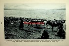 Kirei Tribe  Dolmo Nor  Mongolia  great Altai On Reverse   Book Illustration