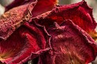 Dried Red Rose Petals - 8oz   Natural Petals For Tea  Baking   Crafts