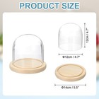 Glass Cloche Display Dome 4 7  X 4 7  Glass Dome Display Case Natural
