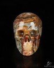 Gemstone 0 7  Red Crazy Lace Agate Hand Carved Crystal Skull  Realistic