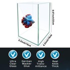 Ultra White Glass Betta Aquarium Starter Kits 1 5 Gallon Small Fish Tank  Bet   