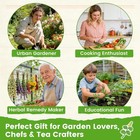 15 Pack Herb Seeds 4500  Non Gmo Heirloom Indoor Outdoor Garden Kit Set New