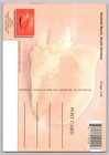  5163 Seashells Queen Conch Maxi Card W myrtle Beach Sc Cancel