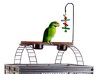 X-large 32 x23 x66 h Open Play Top Stand Perch Toy Hook Cage Large Parrot Birds 