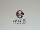 Eagle Scout Enameled Lapel Pin  3 4  Tall  From  1980s - Great Eagle Scout Gift 