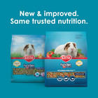 Forti-diet Pro Health Nourish protect Guinea Pig Food  Comprehensive Nutrition B