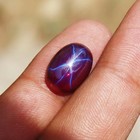 6 Ray Gie Certified Natural Star Sapphire 15 Ct Loose Gemstone Oval Cabochon