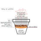 Bloem Ups-a-daisy Round Reusable Pot Insert For Healthier Plants     10 