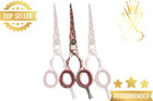 Professional Hair Cutting 5 5   Shears Hairdressing Barber Razor Edge Scissors