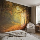 Self Adhesive Wallpaper Mural No Paste Required The Magic Of The Autumn Forest