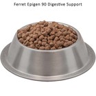 Ferret Epigen 90 Digestive Support 5 Pound Pack Wysong Starch Free Natural Food