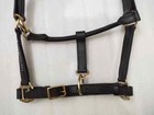Three Row Black Crystal   Black Padding Leather Horse Anatomic Halter
