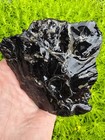 Stunning Xiphactinus Pachyrhizodus Cretaceous Fish Fins Fossilized Vertebrae Tx 